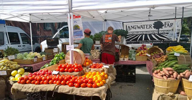 GREELY FARMERS MARKET