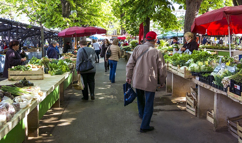 Larimer County farmers-market