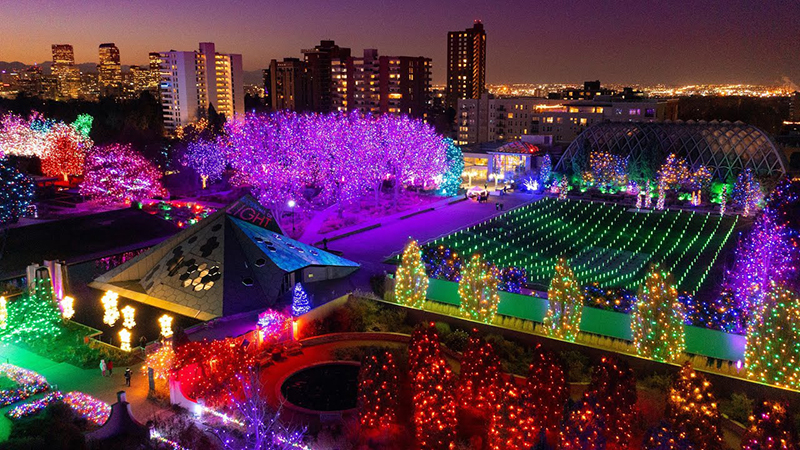 Blossoms of Light at Denver Botanic Gardens