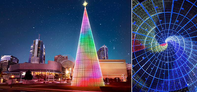 The Mile High Tree, Denver